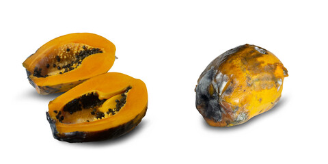 Rotten papaya on a white background,with clipping path