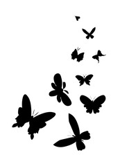 Obraz na płótnie Canvas Vector composition of butterflies in motion hand drawn.Illustration of flying insects silhouettes in black doodle style.Design for cards,posters,social networks,packaging,stencils,decoration,stickers.