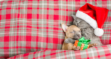 Gray kitten wearing red santa's hat hugs toy terrier puppy and sleeps under a checkered or tartan...