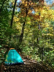 tent in the forest