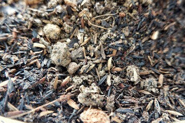 details of rice husk charcoal for fertilizer