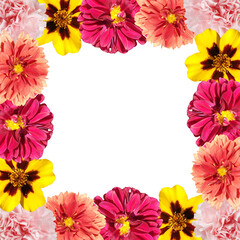Beautiful flower frame made of dahlias, marigolds and carnations. Isolated