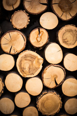 Wood logs cut in section, background concept