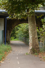 Naklejka premium old bridge in the park and a bicycle road