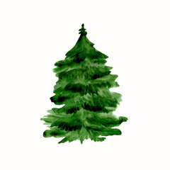 Watercolor hand painted illustration of fir-tree. Perfect for card making, scrapbooking.