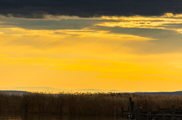 Naklejka na ściany i meble beautiful colors at sunset with reed at the lake