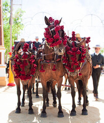 Tres caballos andaluces en la Feria del Caballo, Jerez de la Frontera