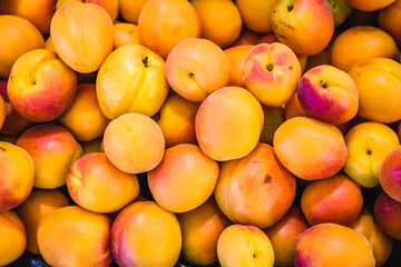 Sweet apricots at the market.