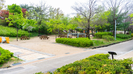 Beautiful scenery in the Seoul Forest Park, South Korea