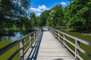 Obraz na płótnie Canvas Wooden pier over the lake