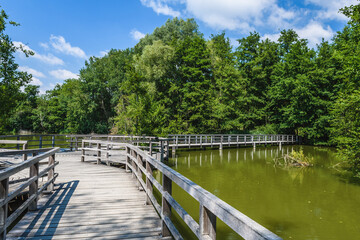 Fototapeta premium Wooden pier in the park