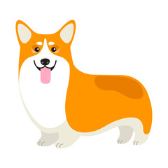 Vector Happy Corgi Dog illustration on White Background for Use in Design and Logo