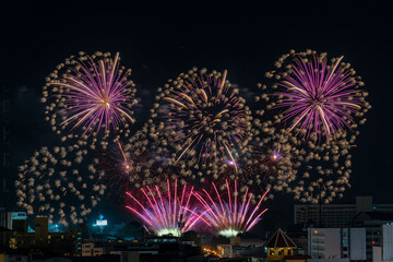 Beautiful sparkling fireworks of various colors display on dark sky.