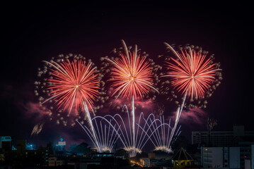 Beautiful sparkling fireworks of various colors display on dark sky.