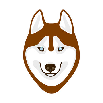 Brown Husky Dog Face on White Background for Use in Design and Logo