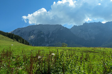 Fototapeta premium Distant view on Grimming, the highest self standing mountain in Alps, Austria. There is a lush green meadow in front and a narrow road. Clear and bright day. Thicker clouds over the high Alpine peak