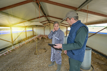 Veterinary and female farmer analysing the growth of the chicken breeding on a digital  tablet