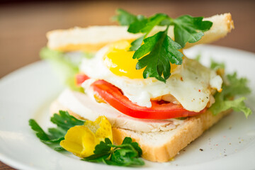 sandwich with tomato and baked egg