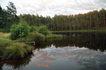 Fototapeta na wymiar Summer ride with a forest lake in which clouds are reflected during sunset