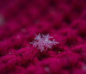 Snowflake beautifull on the colorful background macro