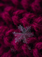 Snowflake beautifull on the colorful background macro