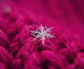 Snowflake beautifull on the colorful background macro