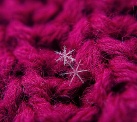 Snowflake beautifull on the colorful background macro
