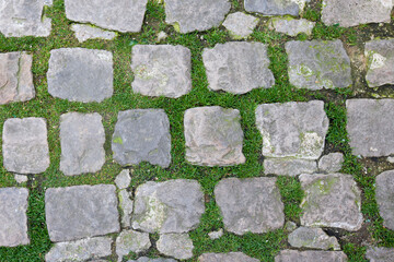 Close-up view of Stone Path with grass growing through