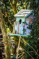 old wooden birdhouse at a yard