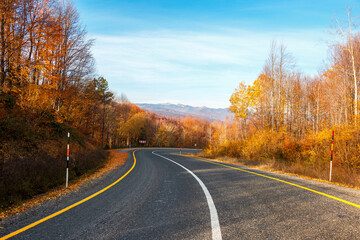 road in autumn forest
