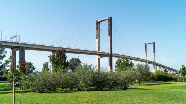Side view of the Centenario Bridge in Seville (Andalusia, Spain) from the famous Rio Guadaira park. Huge cable-stayed bridge that connects the highway and crosses the Guadalquivir river.