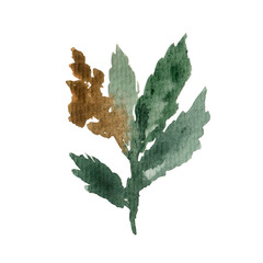 Fototapeta premium Hand drawn watercolor cannabis branch isolated on white background. Marijuana, hemp.