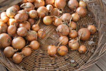 a lot of fresh yellow onions on basket.