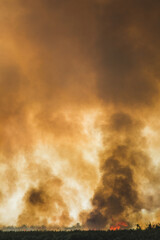 Large clouds of smoke, fire in nature.