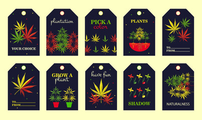 Obraz na płótnie Canvas Special tag designs with ganja plant. Bright cannabis leaves, roots, bush with text on dark background. Hemp and legal drug concept. Template for greeting labels or invitation card