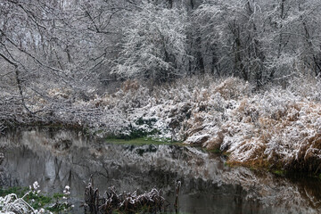 river in winter
