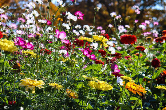 339 Best 秋の季語 Images Stock Photos Vectors Adobe Stock