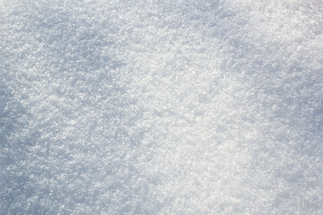 Obraz premium Texture of real fresh snow for background