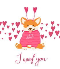 Funny vector corgi in headband with hearts for Valentine day print. I woof you quote with dog for February, 14