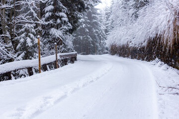 Calm forest road without people covered in snow in the alps of Austria (Filzmoos, Salzburg county)