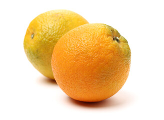Orange fruit on the white background