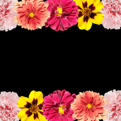 Beautiful flower frame made of dahlias, marigolds and carnations. Isolated
