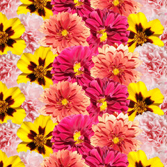 Beautiful floral background of dahlias, marigolds and carnations. Isolated
