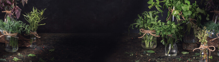 Jars with bunches of fresh garden culinary herbs stand on the kitchen table against a dark background. Healthy food, diet, vegetarianism concept. Banner, panorama with free space.