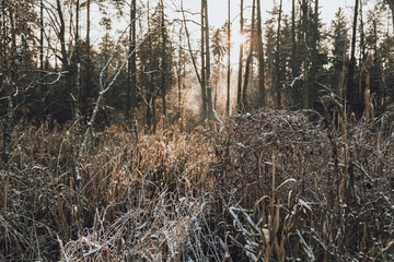 Słoneczny dzień © Ewelina