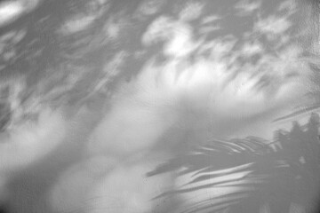 abstract background texture of shadows leaf on yellow concrete wall