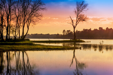 Obraz premium Nice landscape with tree and lake on sunrise or sunset in autumn. morning