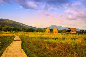 Fototapeta na wymiar autumn sunrise in mountainous rural area. Bamboo Walkway and cottage in golden foliage on the meadow in weathered grass. blue sky with clouds in morning light