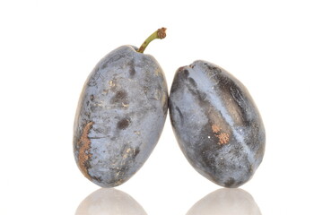 Several ripe organic Damson plums, close-up, isolated on white.