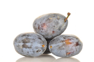 Several ripe organic Damson plums, close-up, isolated on white.